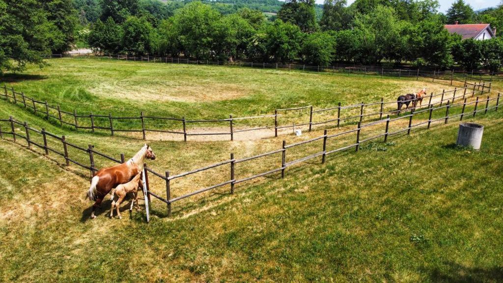 Amigosranch Villa Krusevac Luaran gambar